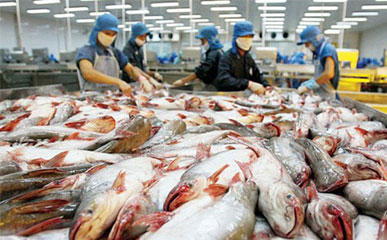 Why European Markets Trust Vietnamese Seafood: Pangamia’s Perspective